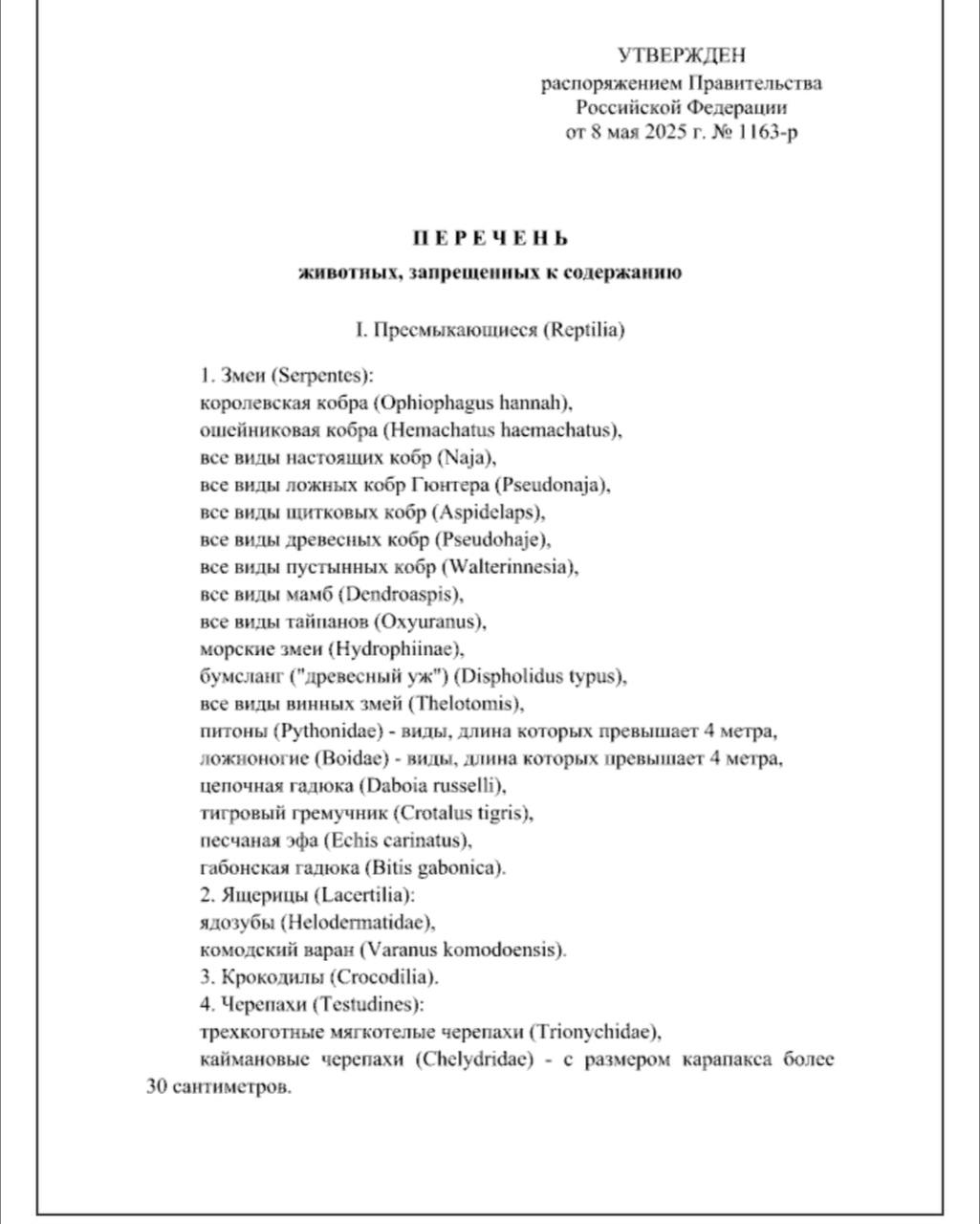 photo_2025-05-13_06-38-50.jpg